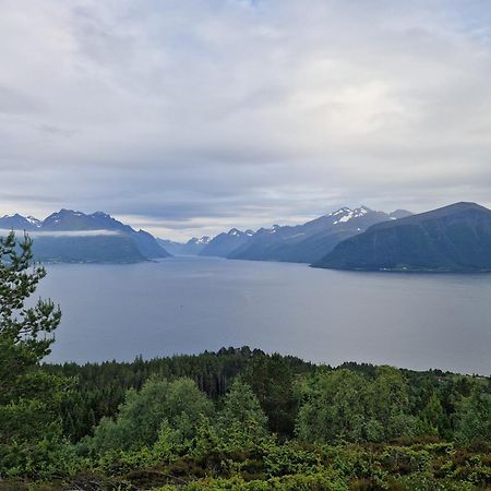 Cozy Retreat In The Heart Of Alesund Appartement Buitenkant foto